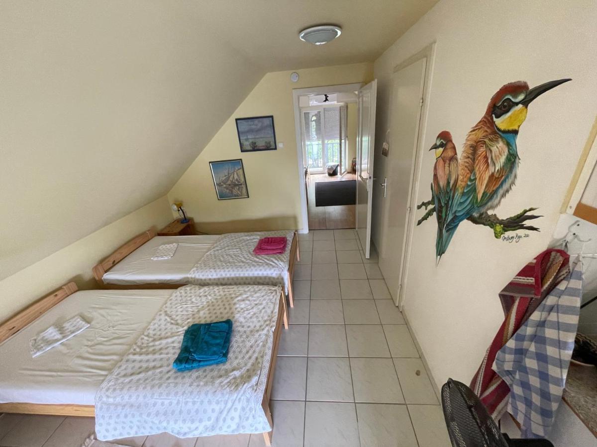 Thefi Vendeghaz Apartment Zanka Exterior photo